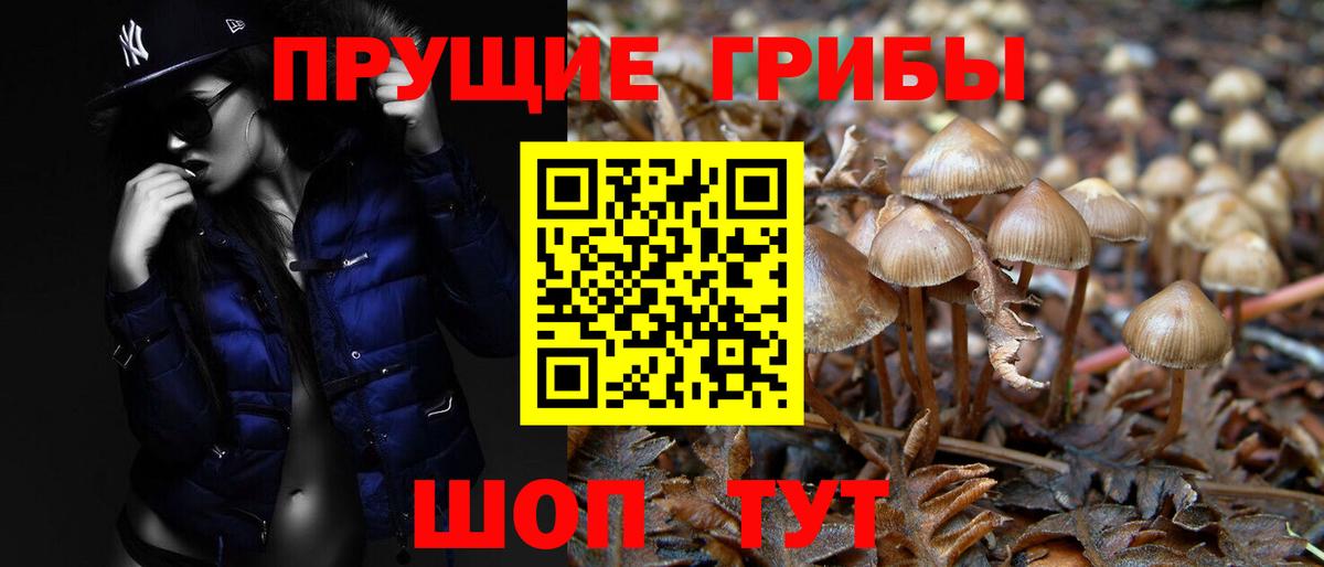 Псилоцибиновые грибы Magic Shrooms Нововоронеж