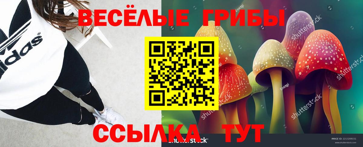 Псилоцибиновые грибы мухоморы  Вход с VPN  Нововоронеж 